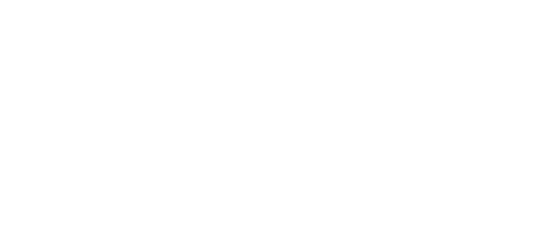 CONCIERTO PUNTA